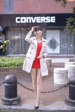 电视剧扫黑风暴24全集免费观看
